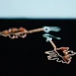 Hawthorn Leaf Copper Earrings