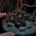 Brenda's Bonsai